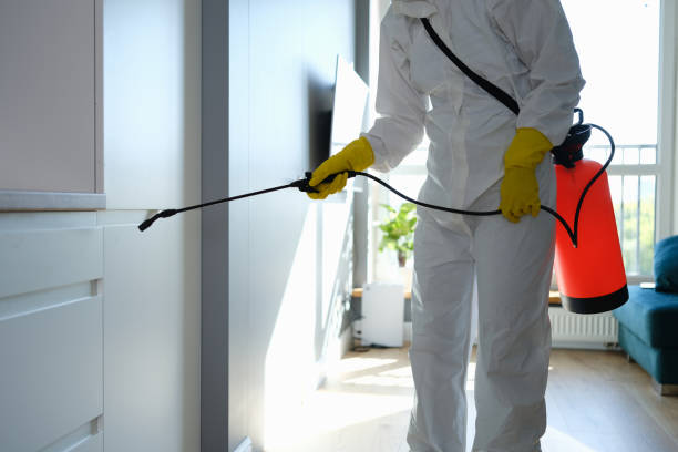 Best Mold Testing and Inspection Services in Sidney, OH